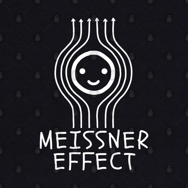 MEISSNER EFFECT Physics Superconductor Science Magnetic Field by Decamega